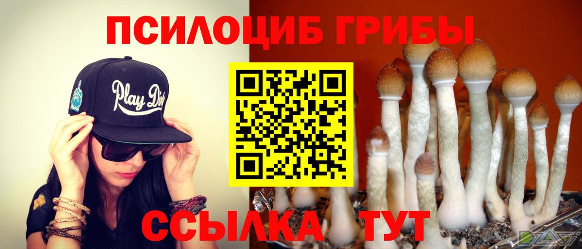 Галлюциногенные грибы мицелий Томск
